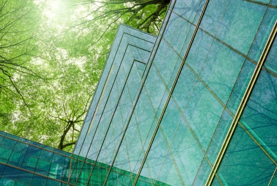 EcoVadis Score Explained: What Bronze, Silver, Gold and Platinum actually means
